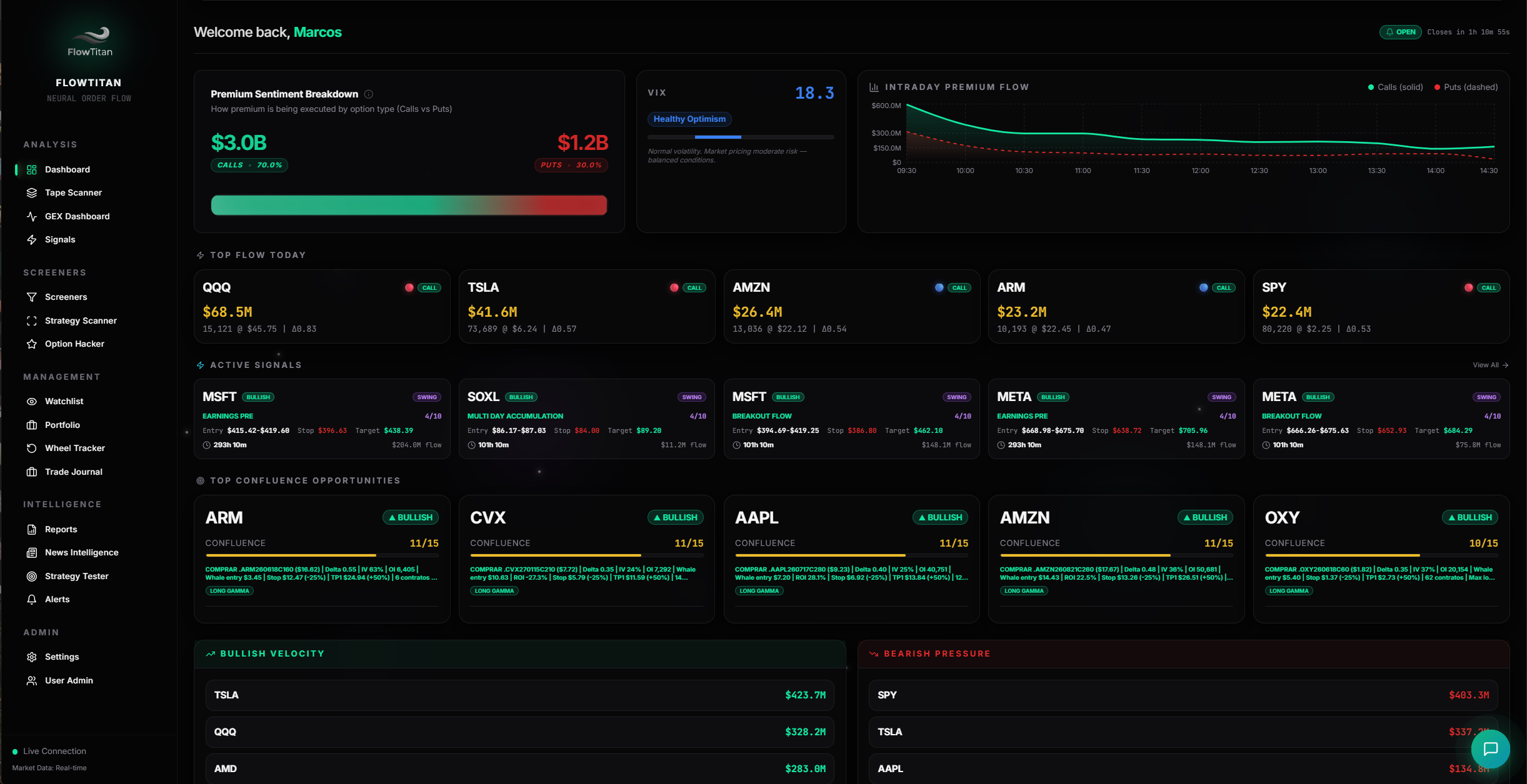 Whale Ledger de FlowTitan PRO