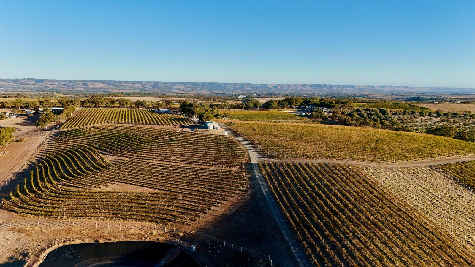 Aerial view of vineyards in  Blewitt Springs in South Australia, located within the McLaren Vale wine region